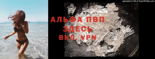 прущие грибы Балахна