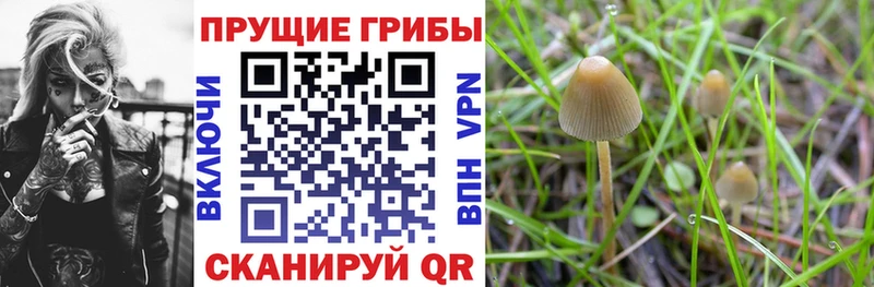 Псилоцибиновые грибы мицелий  даркнет сайт  Мамадыш 
